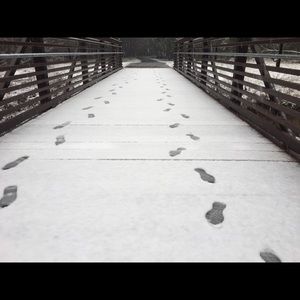 Meet your Posher, Annie